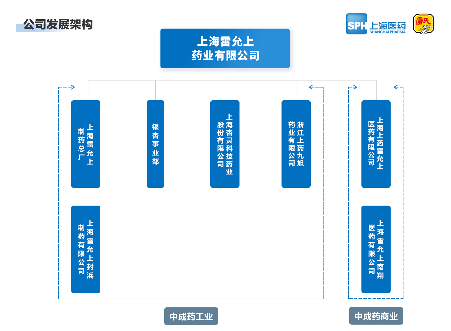 上海杏彩药业有限公司